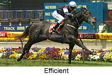 Efficient (18294 bytes)