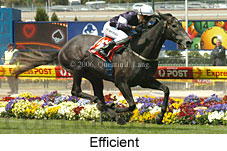 Efficient (18294 bytes)