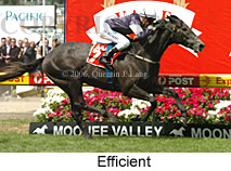 Efficient (18294 bytes)