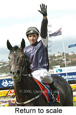 return to scale (18294 bytes)