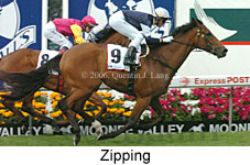 Zipping (18294 bytes)