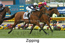 Zipping (18294 bytes)