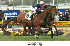 Zipping (18294 bytes)