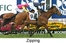 Zipping (18294 bytes)