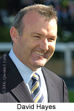 David Hayes (18294 bytes)
