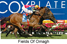 Fields Of Omagh (18294 bytes)