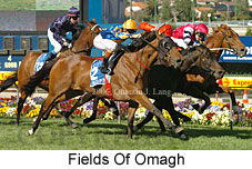 Fields of Omagh (18294 bytes)