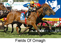 Fields Of Omagh (18294 bytes)