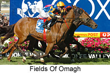 Fields Of Omagh (18294 bytes)