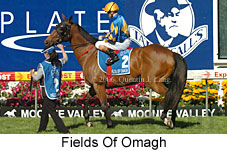 Fields Of Omagh (18294 bytes)