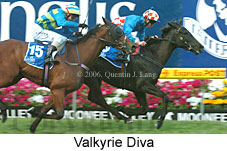 Valkyrie Diva (18294 bytes)