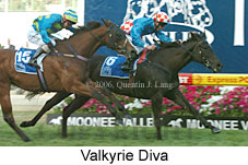 Valkyrie Diva (18294 bytes)