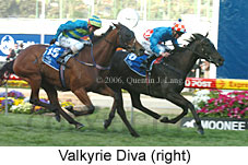 Valkyrie Diva (18294 bytes)