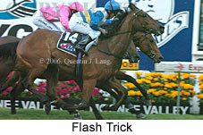 Flash Trick (18294 bytes)