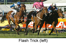 Flash Trick (18294 bytes)