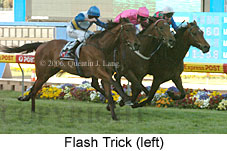 Flash Trick (18294 bytes)