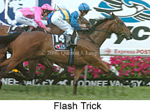 Flash Trick (18294 bytes)