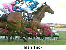 Flash Trick (18294 bytes)