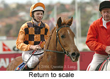 Return to scale (15233 bytes)