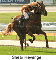 Shear Revenge (15690 bytes)