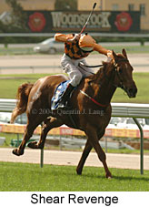 Shear Revenge (15447 bytes)