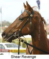 Shear Revenge (13681 bytes)