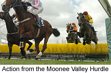 Remote action (15597 bytes)