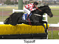 Topzoff (14965 bytes)