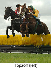 Topzoff (14380 bytes)