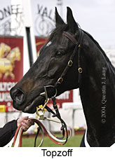 Topzoff (13132 bytes)