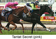 Tantat Secret (17549 bytes)