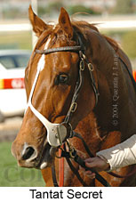 Tantat Secret (13866 bytes)