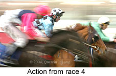 action shot (16415 bytes)