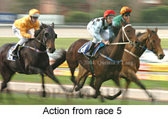 action shot (16554 bytes)