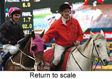 Return to scale (17662 bytes)