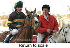 Return to scale (14212 bytes)