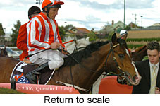 Return to scale (15361 bytes)