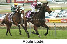 Apple Lode (14872 bytes)