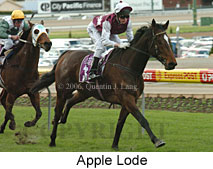 Apple Lode (14872 bytes)