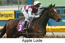 Apple Lode (14872 bytes)