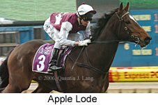 Apple Lode (14872 bytes)