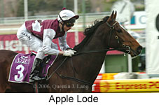 Apple Lode (14872 bytes)