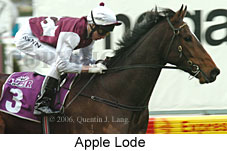 Apple Lode (14872 bytes)
