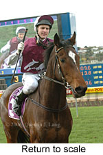 Return to scale (15361 bytes)