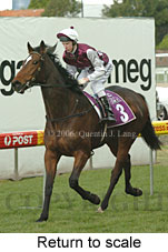 Return to scale (15361 bytes)