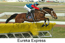 Eureka Express (11039 bytes)