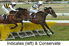 Indicates & Conservate (15361 bytes)