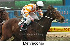 Delvecchio (14872 bytes)