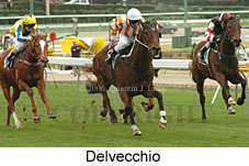 Delvecchio (14872 bytes)