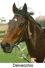 Delvecchio (14872 bytes)